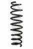 SPIDAN 85539 Coil Spring